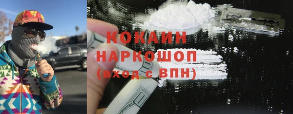 дживик Арсеньев