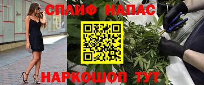 spice Гусев