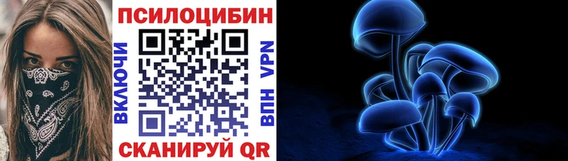 Псилоцибиновые грибы Psilocybe  Минусинск 