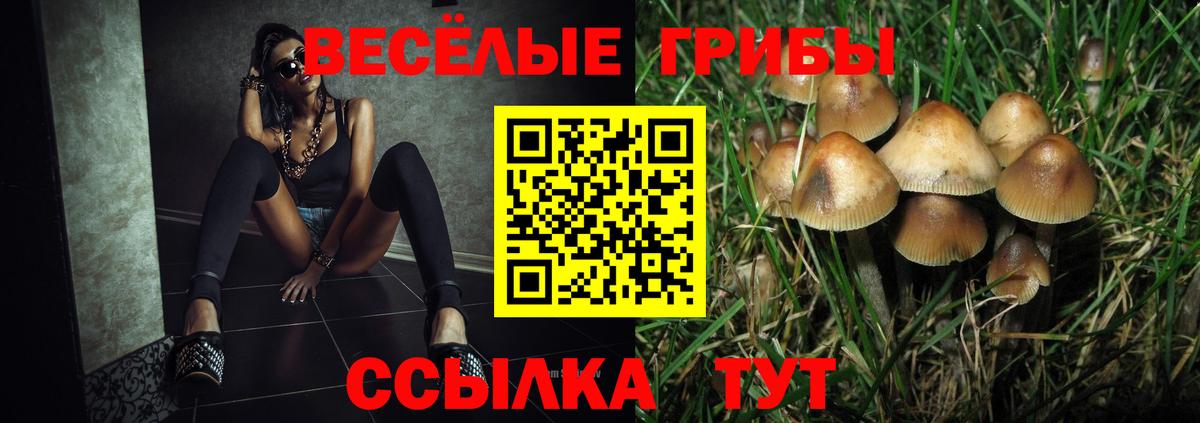 Минусинск  Галлюциногенные грибы прущие грибы  Галлюциногенные грибы Cubensis  Вход с VPN 