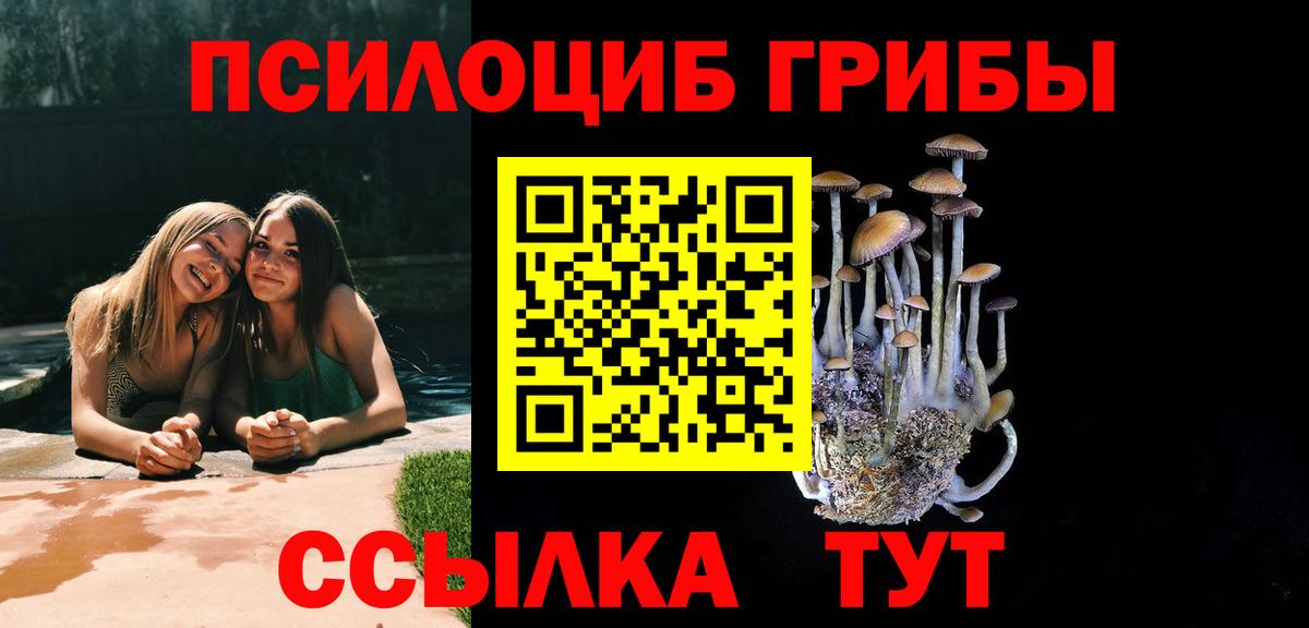 Псилоцибиновые грибы мицелий Минусинск